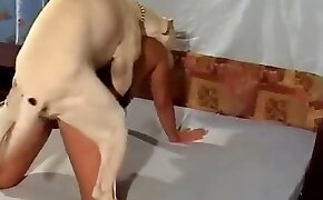 blonde girl zoophile, fucking beastiality scenes