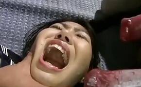 Zoo porno and bestiality